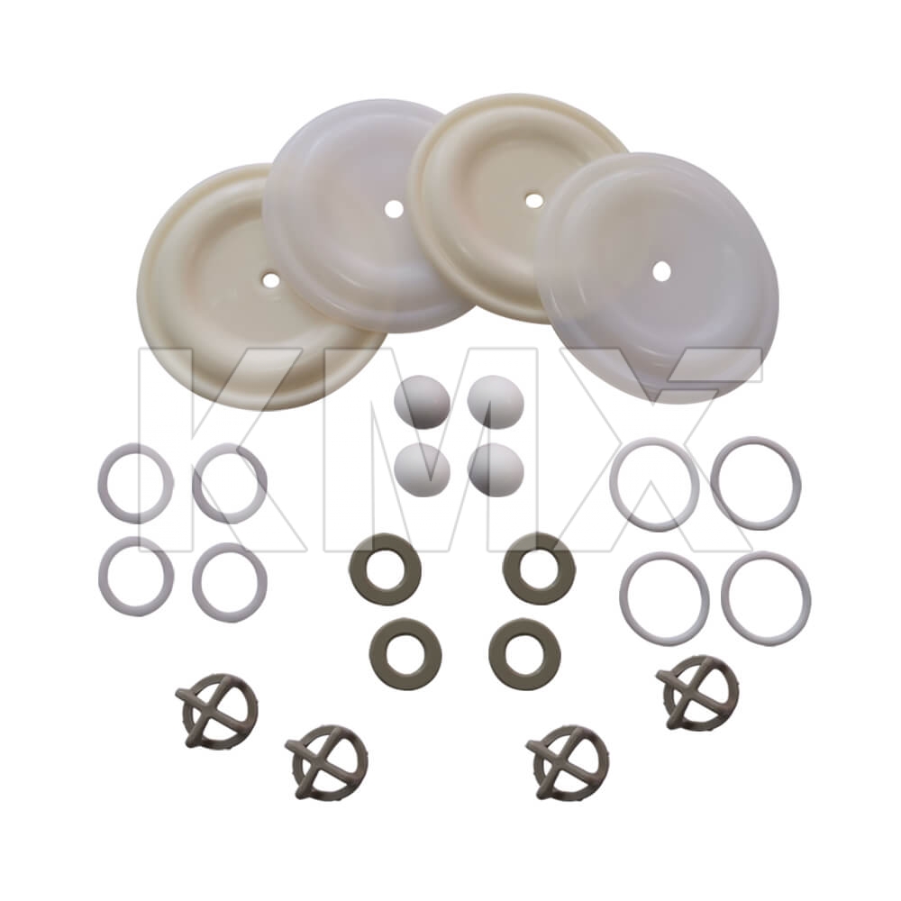 DEBEM KITB81-P-HTTPT Kit H&uacute;medo Bomba Diafragma PP,   1" Boxer 81, P-HTTPT