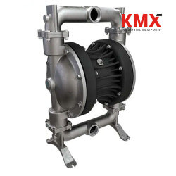 DEBEM BOXER 100 AISI Bomba de Diafragma 1" Acero Inoxidable Teflón